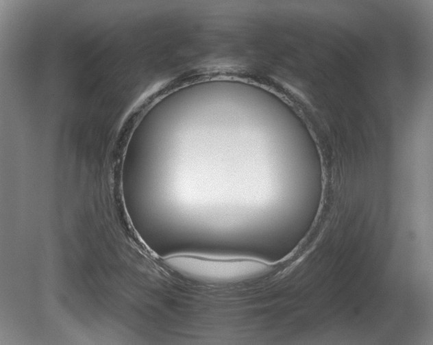 X0000080661309200612150725