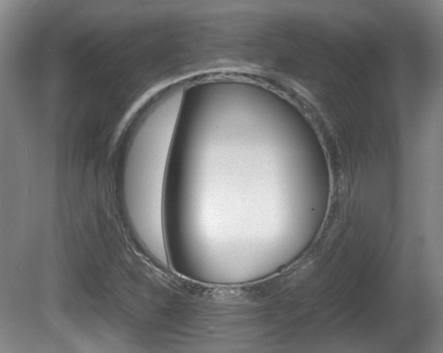 X0000080661310200612150725