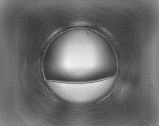 X0000080661313200612150725