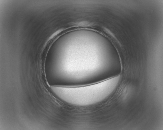 X0000080661315200612150725