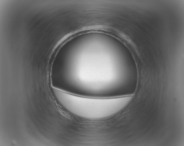 X0000080661316200612150725
