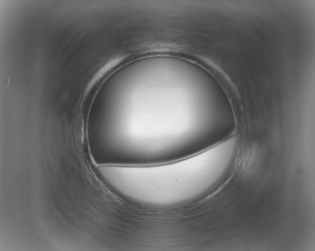 X0000080661317200612150725