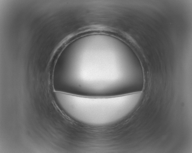 X0000080661318200612150725