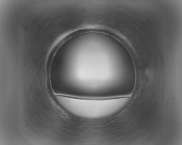 X0000080661319200612150725