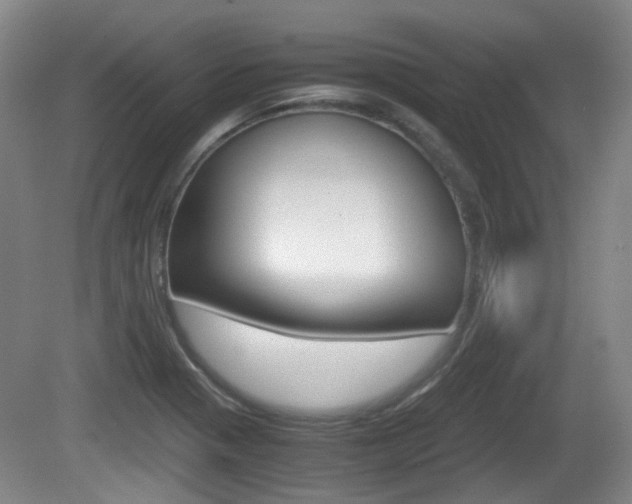 X0000080661321200612150725