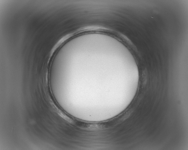 X0000080661322200612150725
