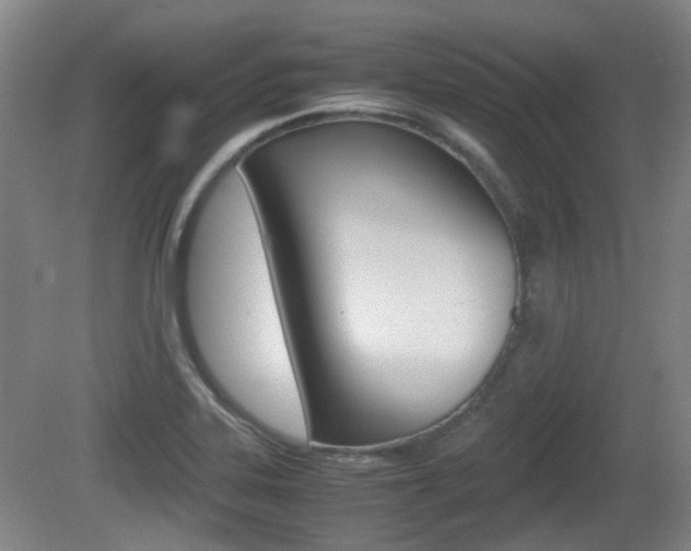 X0000080661323200612150725