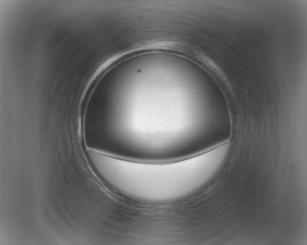 X0000080661324200612150725