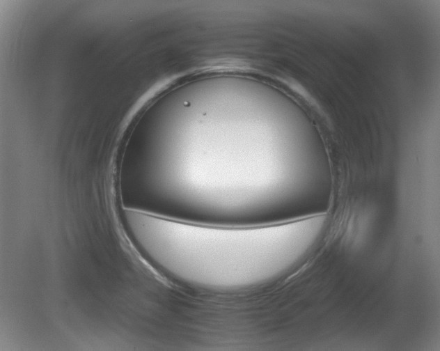 X0000080661325200612150725