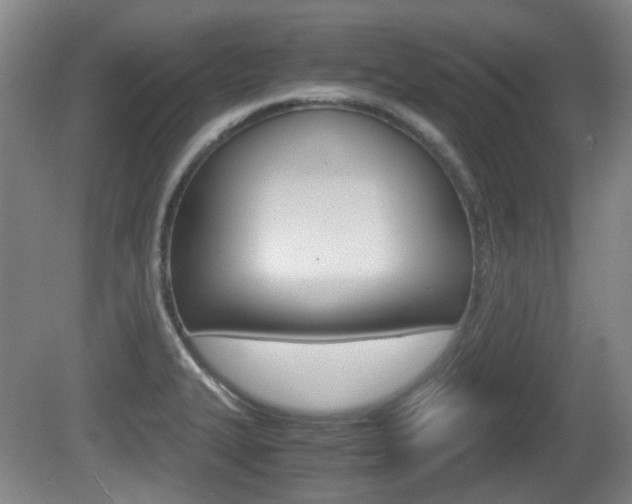 X0000080661327200612150725