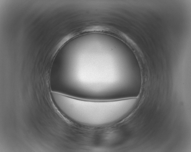 X0000080661329200612150725