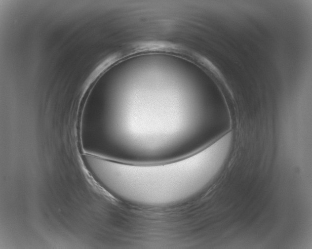 X0000080661330200612150725