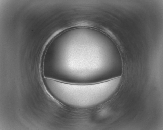 X0000080661331200612150725