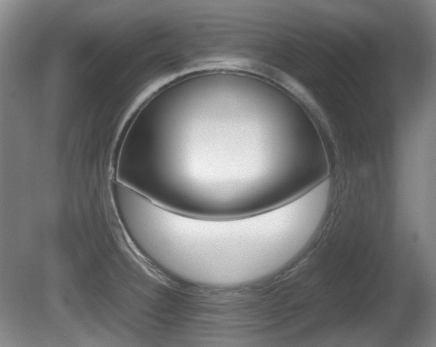 X0000080661332200612150725