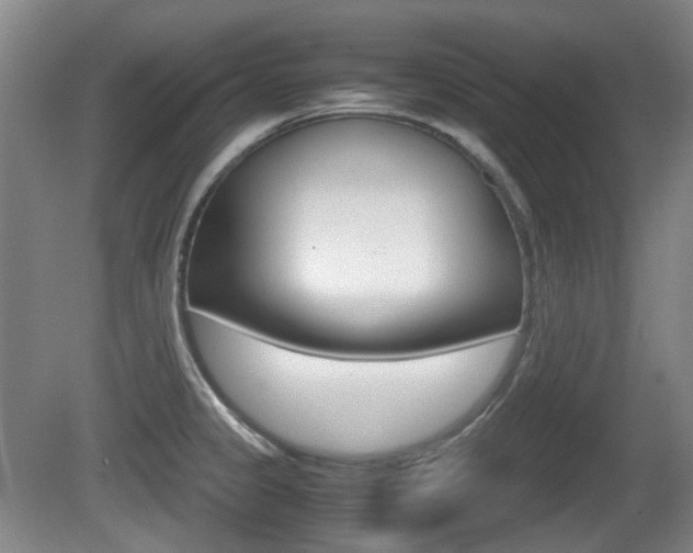 X0000080661333200612150725