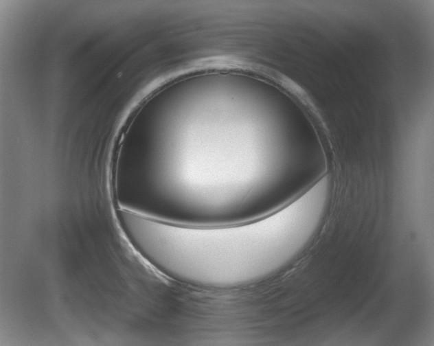 X0000080661334200612150725