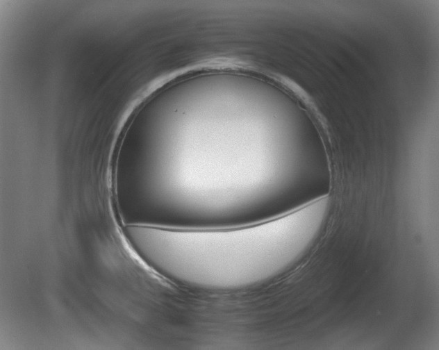 X0000080661335200612150725