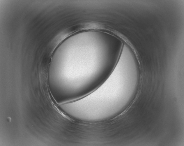 X0000080661337200612150725