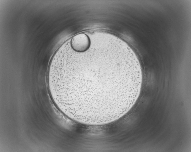 X0000080661338200612150725
