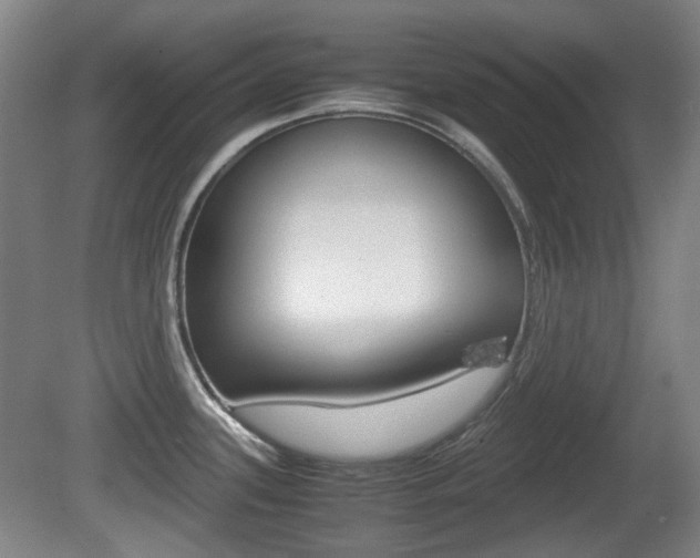 X0000080661339200612150725