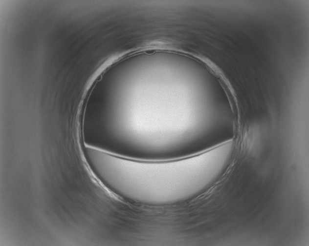 X0000080661341200612150725