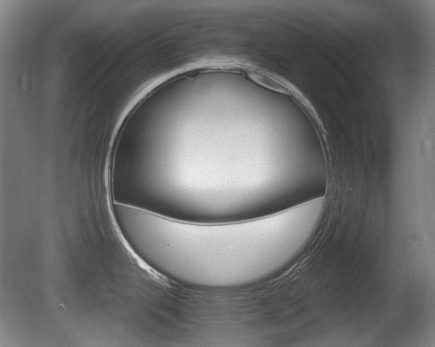 X0000080661343200612150725