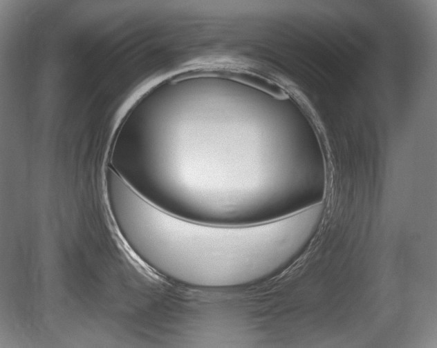 X0000080661344200612150725
