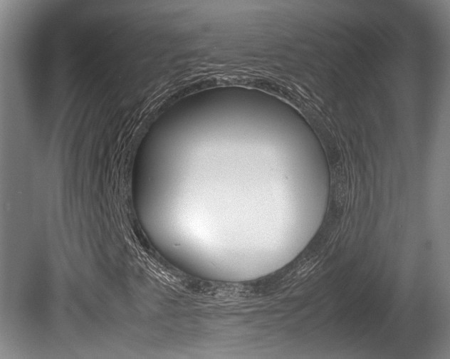 X0000080661345200612150725