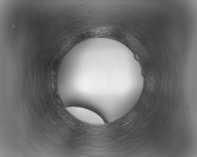 X0000080661346200612150725