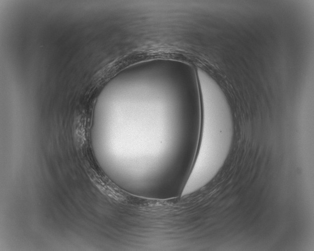 X0000080661348200612150724