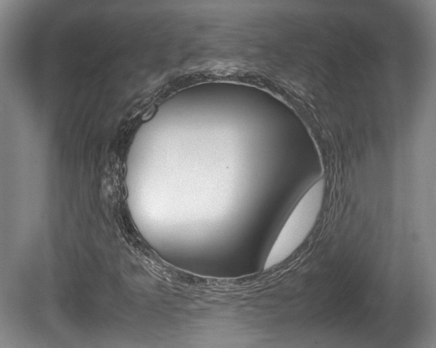 X0000080661349200612150724