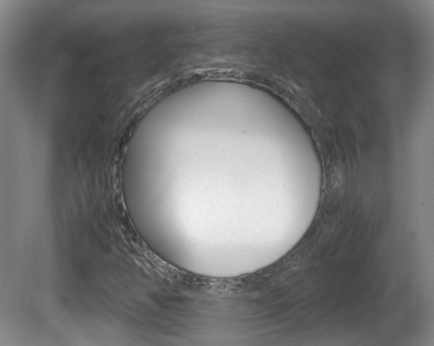 X0000080661350200612150724
