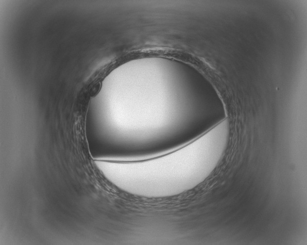 X0000080661351200612150724