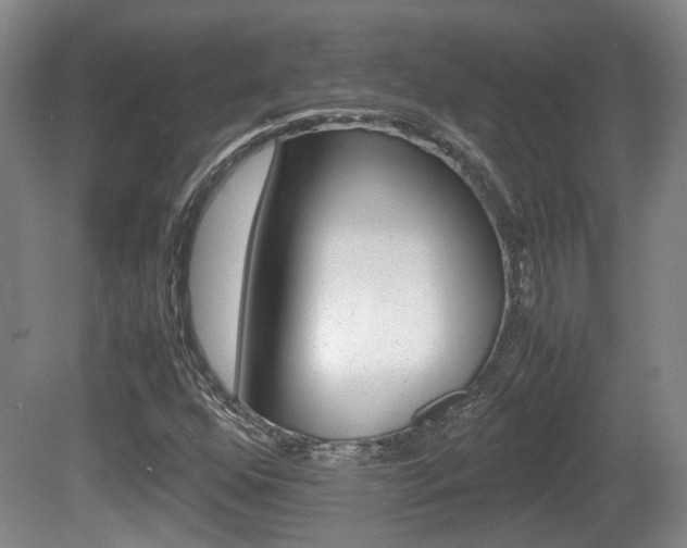 X0000080661352200612150724