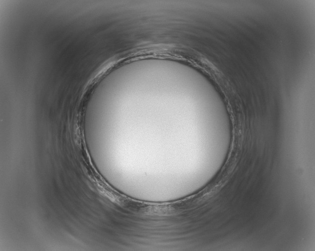X0000080661354200612150724