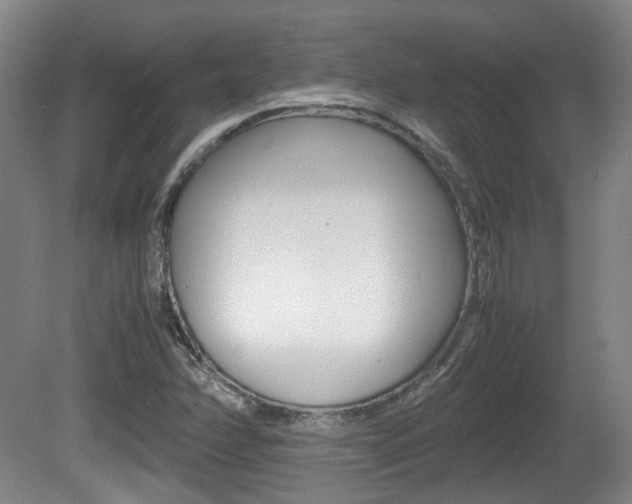 X0000080661358200612150724