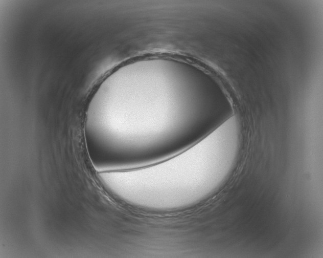 X0000080661359200612150724