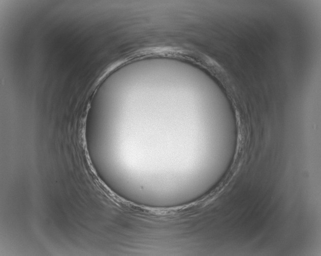 X0000080661361200612150724