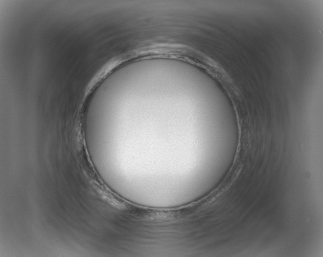 X0000080661362200612150724