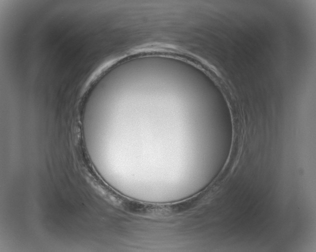 X0000080661363200612150724