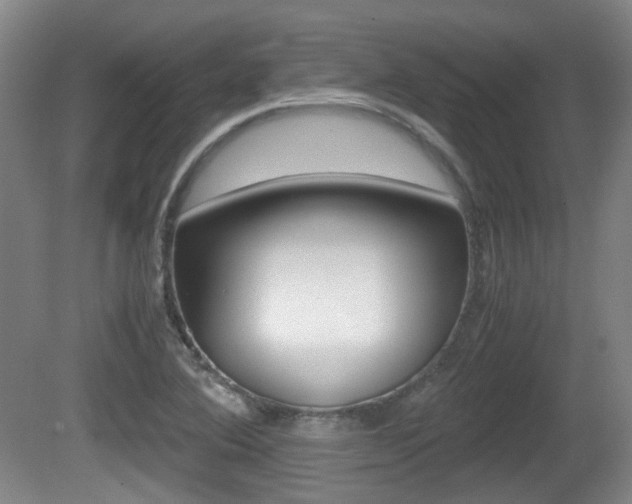 X0000080661364200612150724