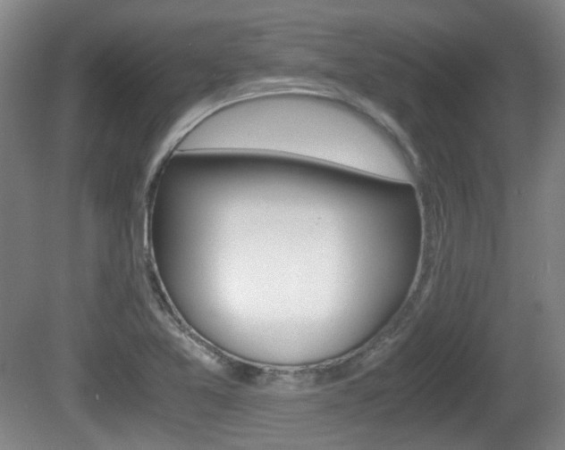 X0000080661365200612150724