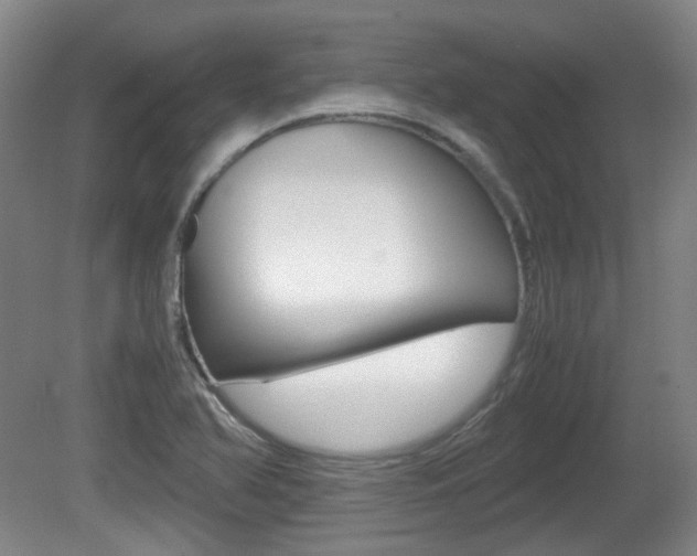 X0000080661366200612150724