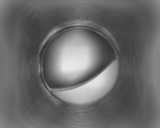 X0000080661368200612150724