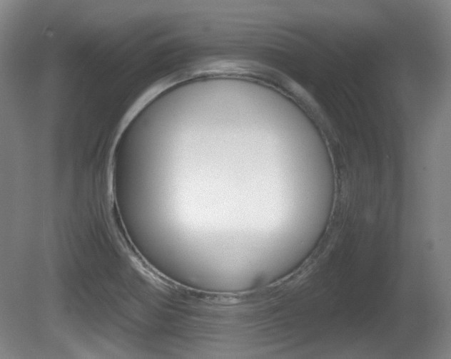 X0000080661370200612150724
