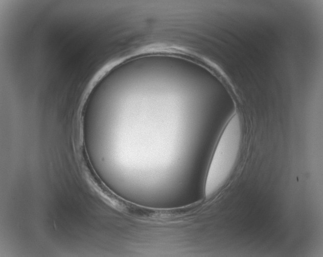 X0000080661371200612150724