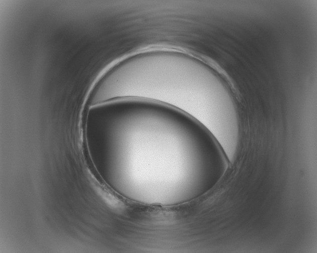 X0000080661372200612150724