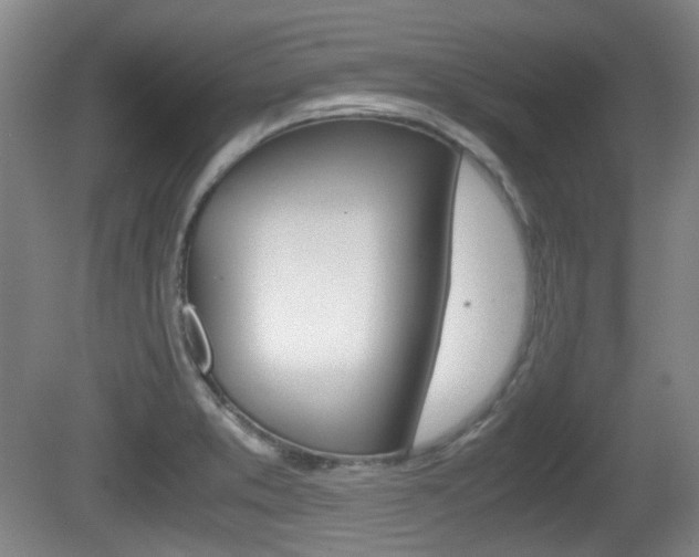 X0000080661373200612150724