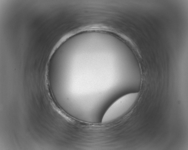 X0000080661374200612150724
