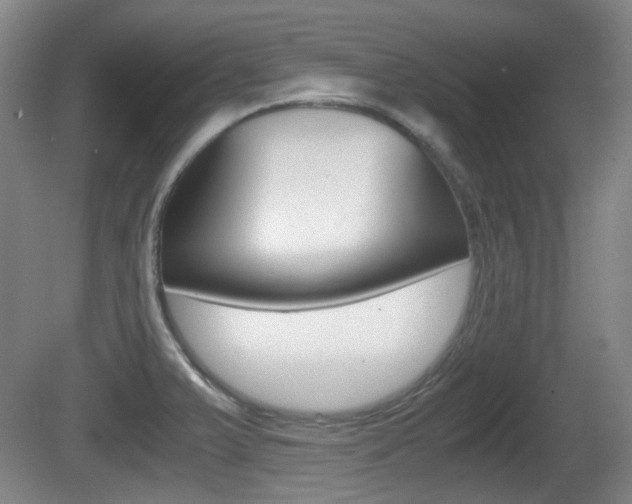 X0000080661375200612150724